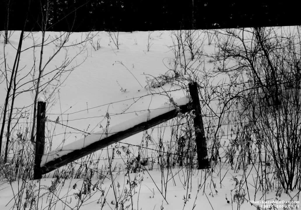 13926CrBwLe - Skiing at Greenwood Conservation Area